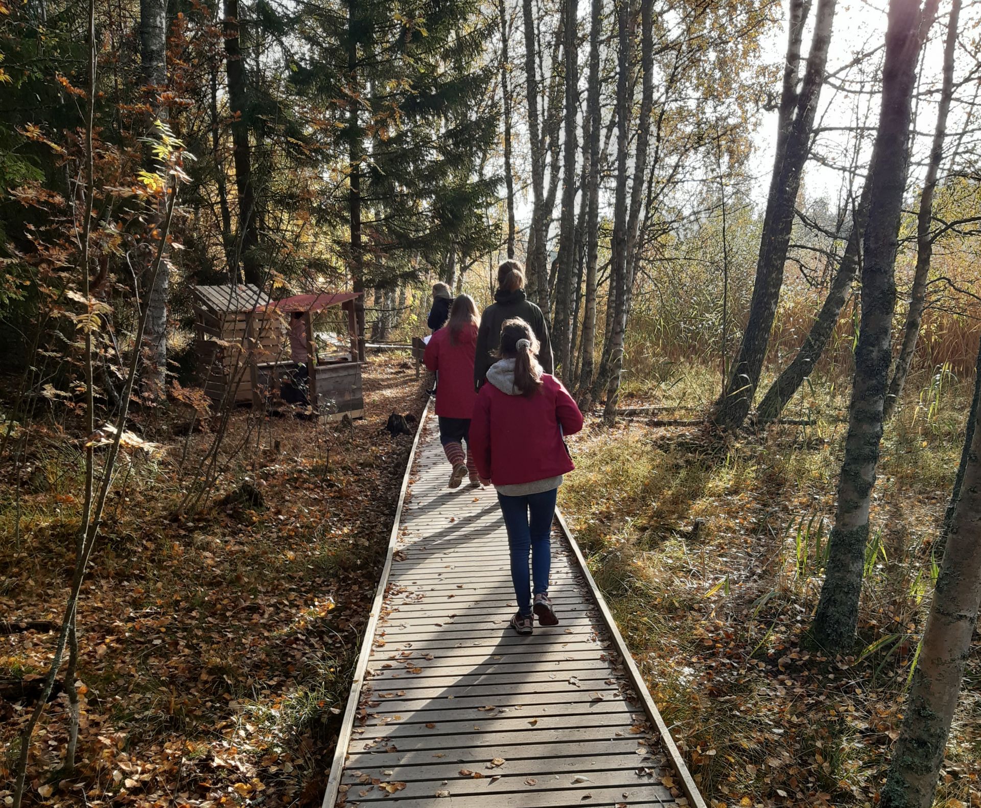 Unga går på en stig i höstig skogsmiljö.