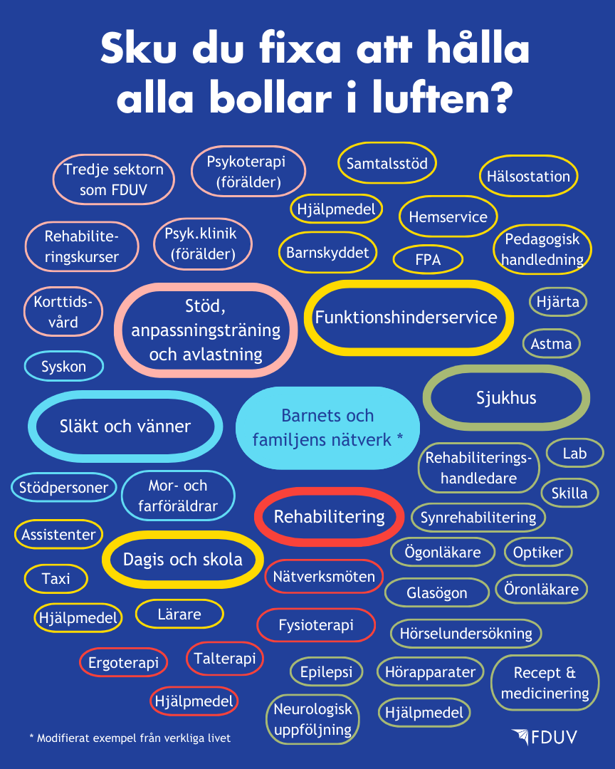 Sku du fixa att hålla alla bollar i luften? En nätverkskarta över olika kontakter och stödinstanser modifierat från verkliga livet.