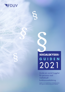 Socialskyddsguiden 2020 