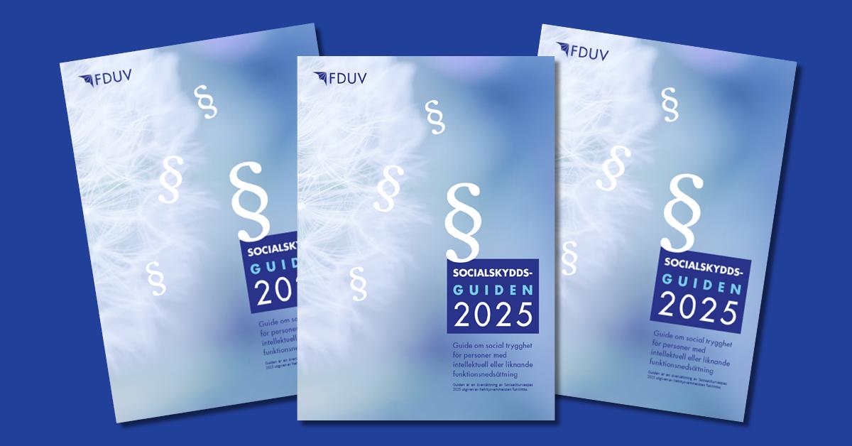 Socialskyddsguiden 2025.