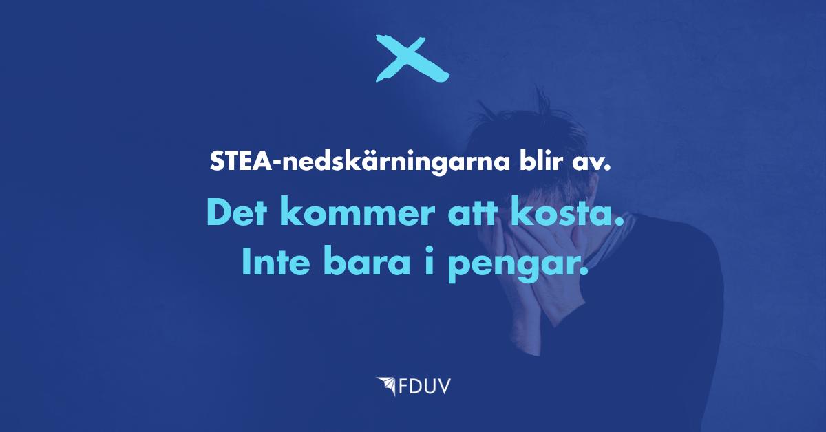 STEA-nedskärningarna blir av. Det kommer att kosta. Inte bara i pengar.